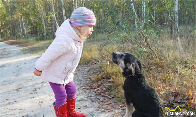 训练一只狗要多久？训犬师说是一生，这8个建议能加快