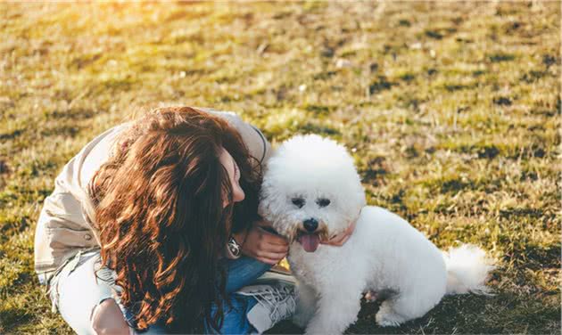 养比熊犬最正确的做法，就在这里了