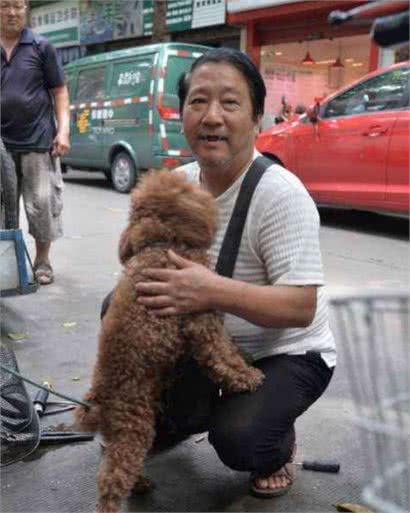 养泰迪犬的5个理由，爸妈听后再也没理由拒绝了