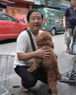 养泰迪犬的5个理由，爸妈听后再也没理由拒绝了