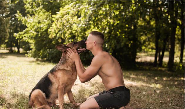 德国牧羊犬和昆明犬之间，到底存在着什么样的关系？