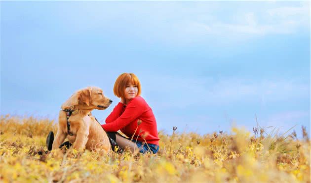 被人称赞的好狗狗,会有哪些优点,你家狗狗上榜了吗?