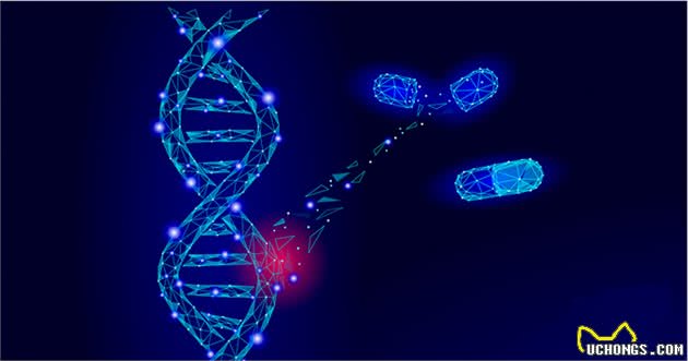 之前的方法都错了！你家的狗狗到底多少岁？科学家提出了新公式