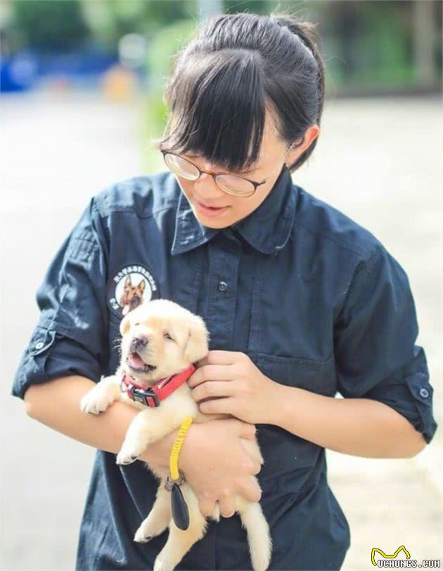 警局新到的一批警犬，小家伙们“超凶”的！网友：哎哟，吓死人啦