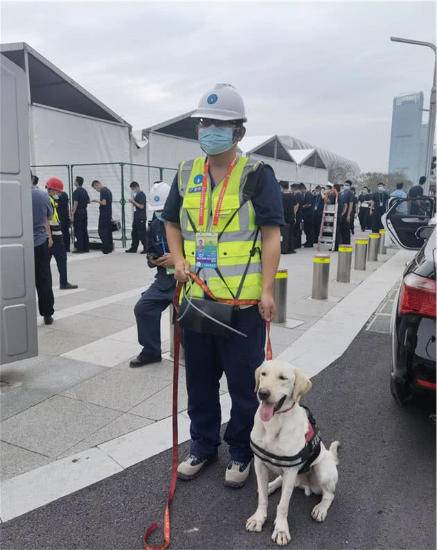 十四运最萌外援上岗！秦华燃气首次引进燃气嗅探犬