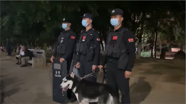 哈士奇被训练成警犬，为了不上班，它离家出走了