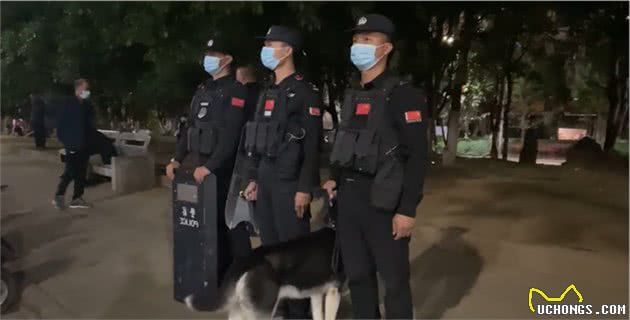 哈士奇被训练成警犬，为了不上班，它离家出走了