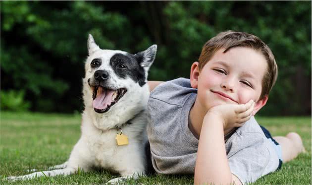 5种会对小孩不利的“小型犬”，为了孩子，还是别养了