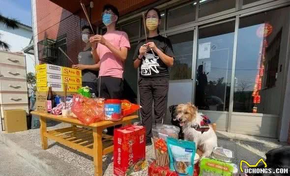 本是严肃的场面，却因几只警犬，让人感到温馨又敬重