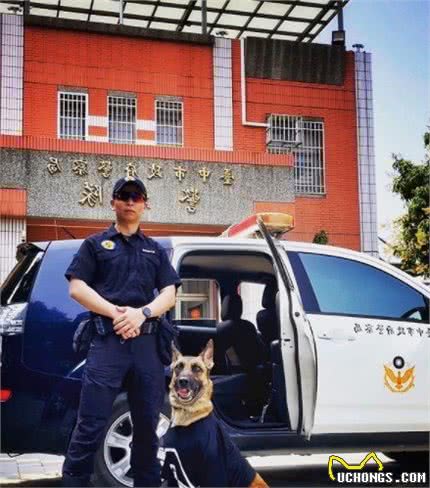 本是严肃的场面，却因几只警犬，让人感到温馨又敬重