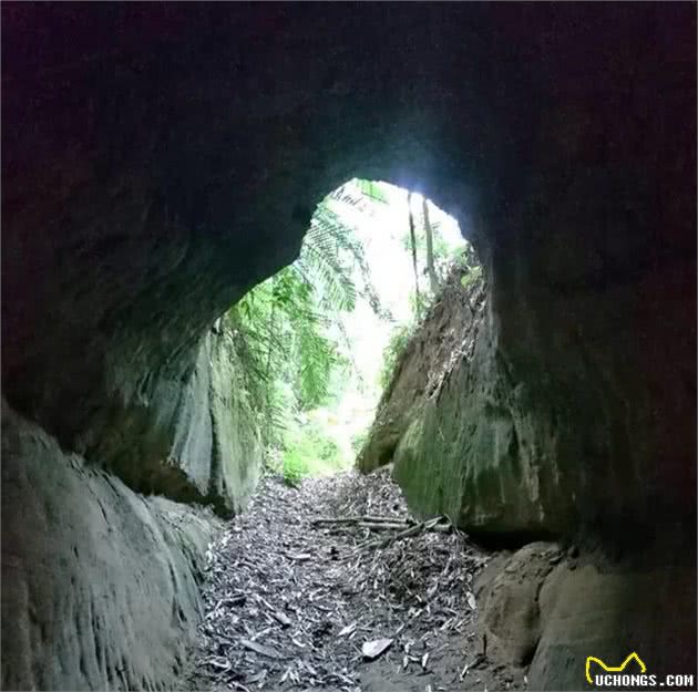 两人一狗勇闯大别山无名山洞，爬至洞内三里处，狗却突然大声狂吠