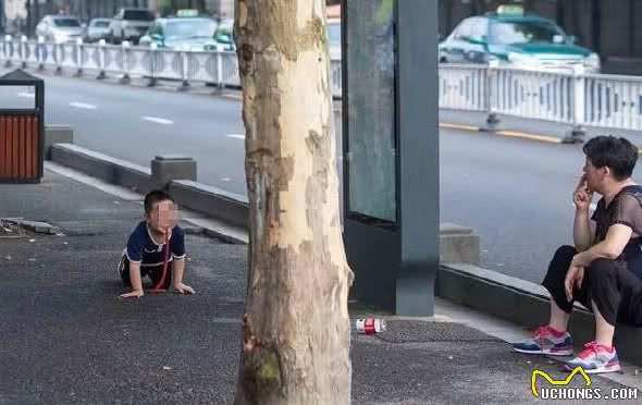 奶奶训练孙子学狗叼回玩具，老人：“我怎么教育别人管不着”