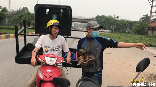 乖巧小狗，每天坚持守在路边，忠诚却没换来缘分，男子“怕麻烦”