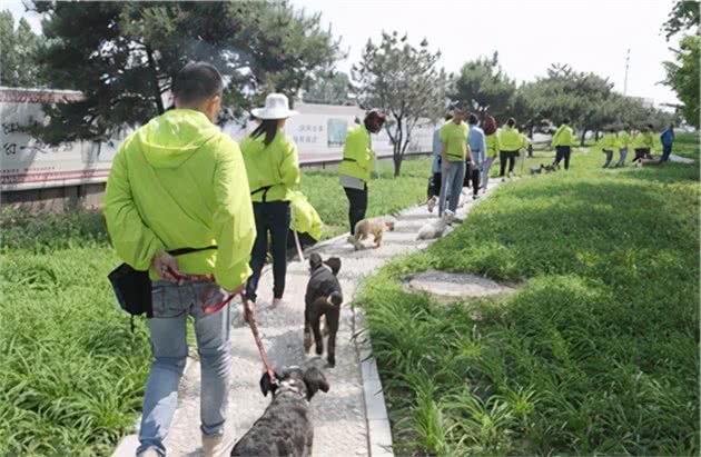 训犬师培训费用大概多少钱