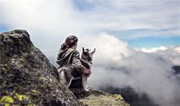 带狗狗去爬山不失是个好运动，要注意一些狗狗爬山要注意的事