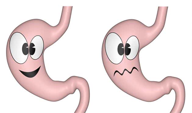 狼青犬要怎么养,适合家养吗