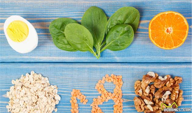 狼青犬要怎么养,适合家养吗