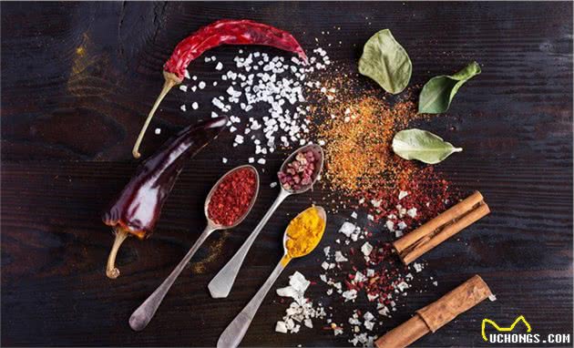 狼青犬要怎么养,适合家养吗