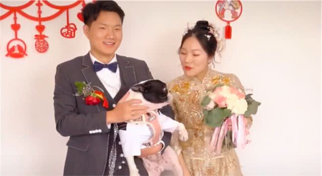 婚礼上狗狗一脚踢开主人！自家爱犬为何做出反常举动？