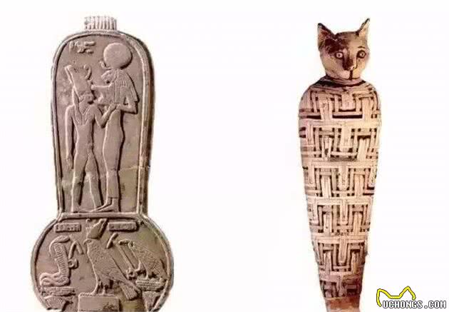 英国小镇在翻修房屋的时候,天棚中掉下猫木乃伊,这风俗源于埃及