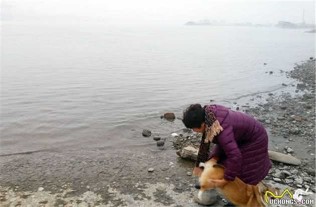 街拍趣事：睡躺椅穿背心狗狗的幸福生活