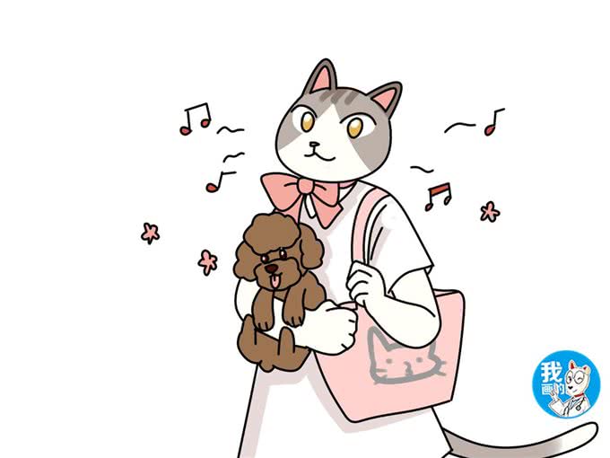 怎样给狗狗起一个好名字呢?不用请大师,这三个方向就不错