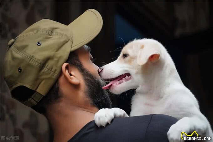 主人患糖尿病,宠物狗的糖尿病风险将增加28%?问题出在哪了?