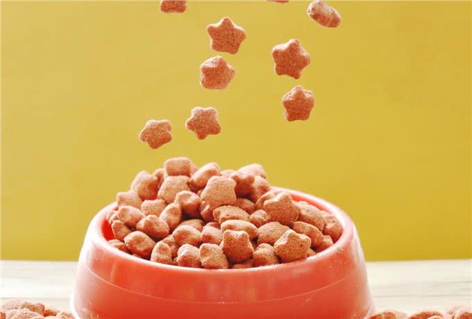 主人患糖尿病,宠物狗的糖尿病风险将增加28%?问题出在哪了?