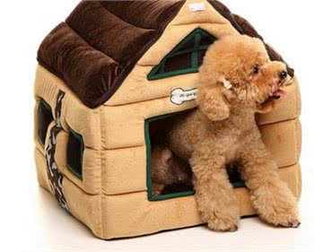 狗狗的脚掌出现了红肿、脱皮的情况,这到底是因为什么?