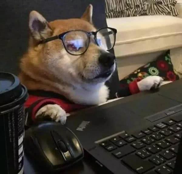 租户养狗咬坏家具,赔不赔?