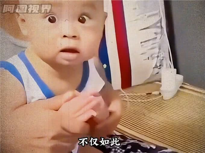 獒王圣体,让猛犬都一秒认怂—大型犬