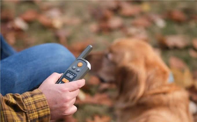遛狗时告别缠绕,全球首款虚拟狗链亮相