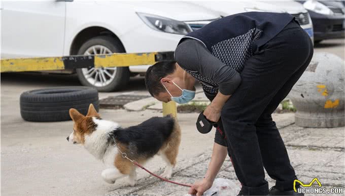 如何和你的狗狗一起旅行?