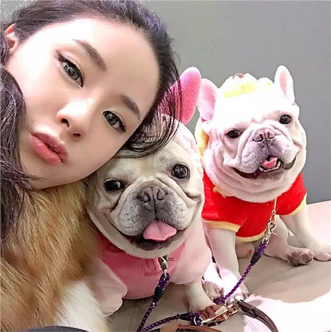 你的宠物会吃醋吗?狗狗吃醋的3种表现小醋怡情,大醋伤身