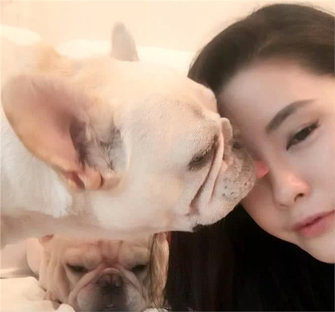 你的宠物会吃醋吗?狗狗吃醋的3种表现小醋怡情,大醋伤身
