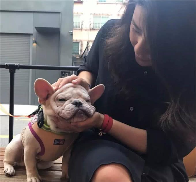 你的宠物会吃醋吗?狗狗吃醋的3种表现小醋怡情,大醋伤身