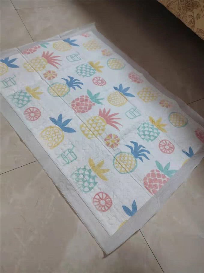 养狗初期的必备用品