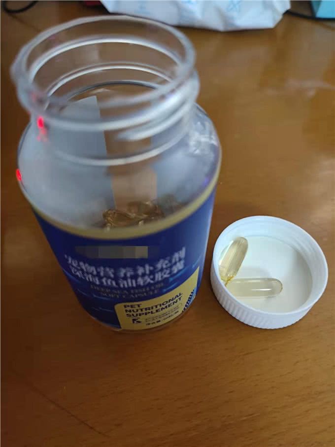 养狗初期的必备用品