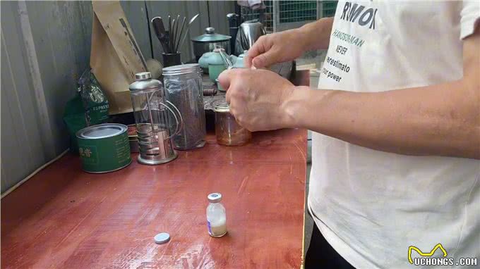 给狗打针难吗?—萌宠松狮