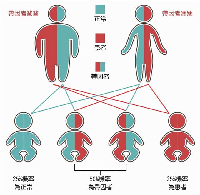 为什么狗会近亲繁殖，而人类却不能?科学的方式告诉你