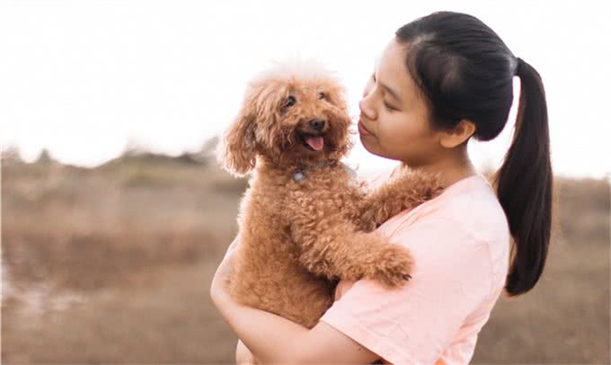 抱泰迪姿势讲究多，这些禁忌劝你别犯