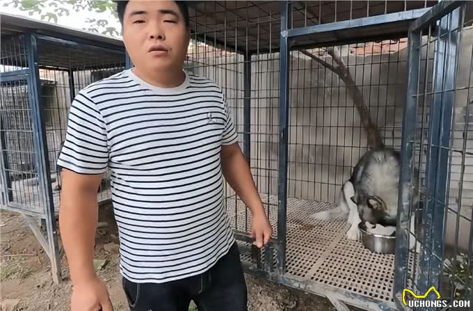 因护食换7任主人的狗，被罗威纳治好了:恶犬还需恶犬收