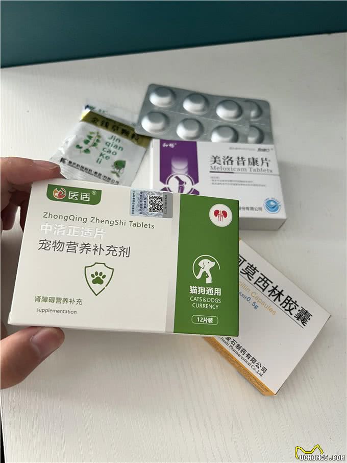 狗狗肾衰竭的症状以及药分享选择