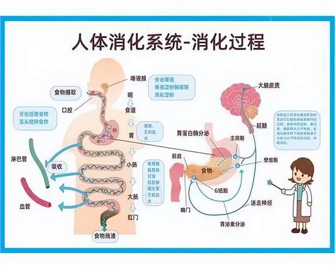 为什么人类觉得生物拉出来的排泄物是臭的?狗也这么认为吗?