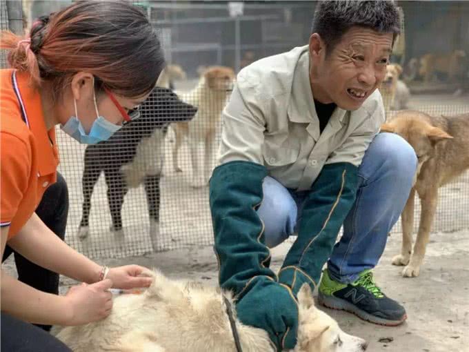 辟谣，狗狗并不需要每年接种疫苗，且昂贵犬八联与六联相差无几!