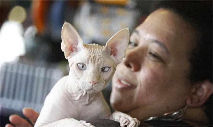 宠物也会过敏,你知道么?