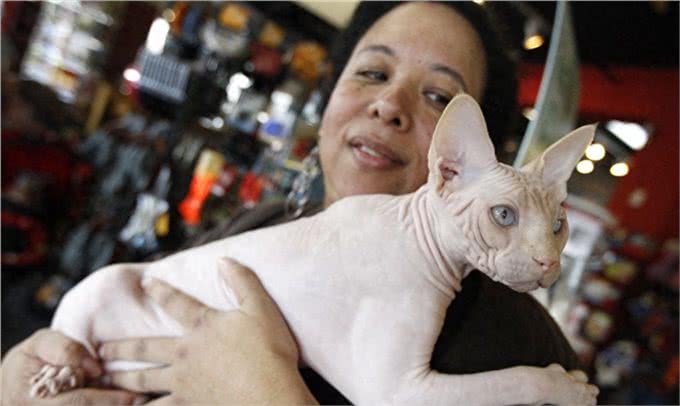 宠物也会过敏,你知道么?