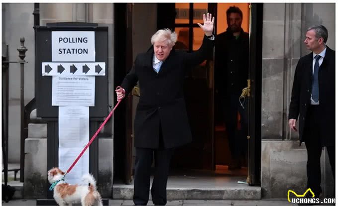 咦?约翰逊拉着他的宠物狗来投票