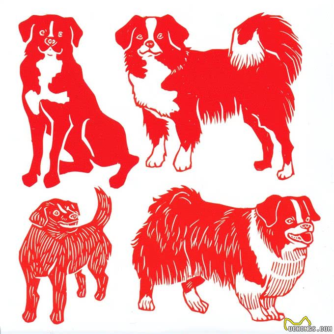 狗狗狗:十月迎来四囍临门,囍从何来,该如何把握?