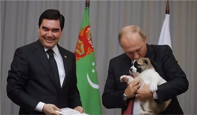 宠猫宠狗的最高境界,送它们去从政